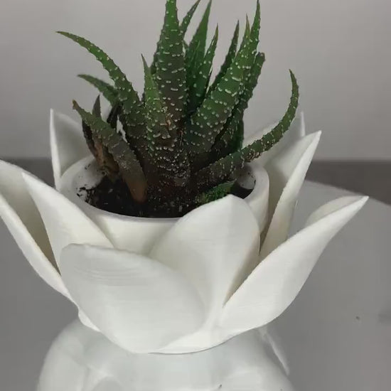 Lotus Succulent Pots Small, Lotus Flower Planter, Succulent Planter Pot, Succulent Pot Cute, Air Plant Holder Desk, Air Plant Holders Cute