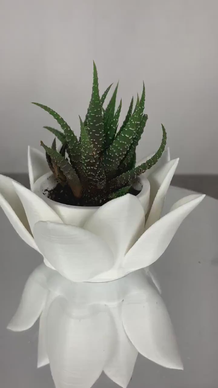 Lotus Succulent Pots Small, Lotus Flower Planter, Succulent Planter Pot, Succulent Pot Cute, Air Plant Holder Desk, Air Plant Holders Cute