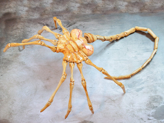 Life Size Alien Face Hugger Replica, Articulated Alien Face Hugger, Facehugger Replica, Alien Movie Prop, Scary Halloween Props, 3D Printed