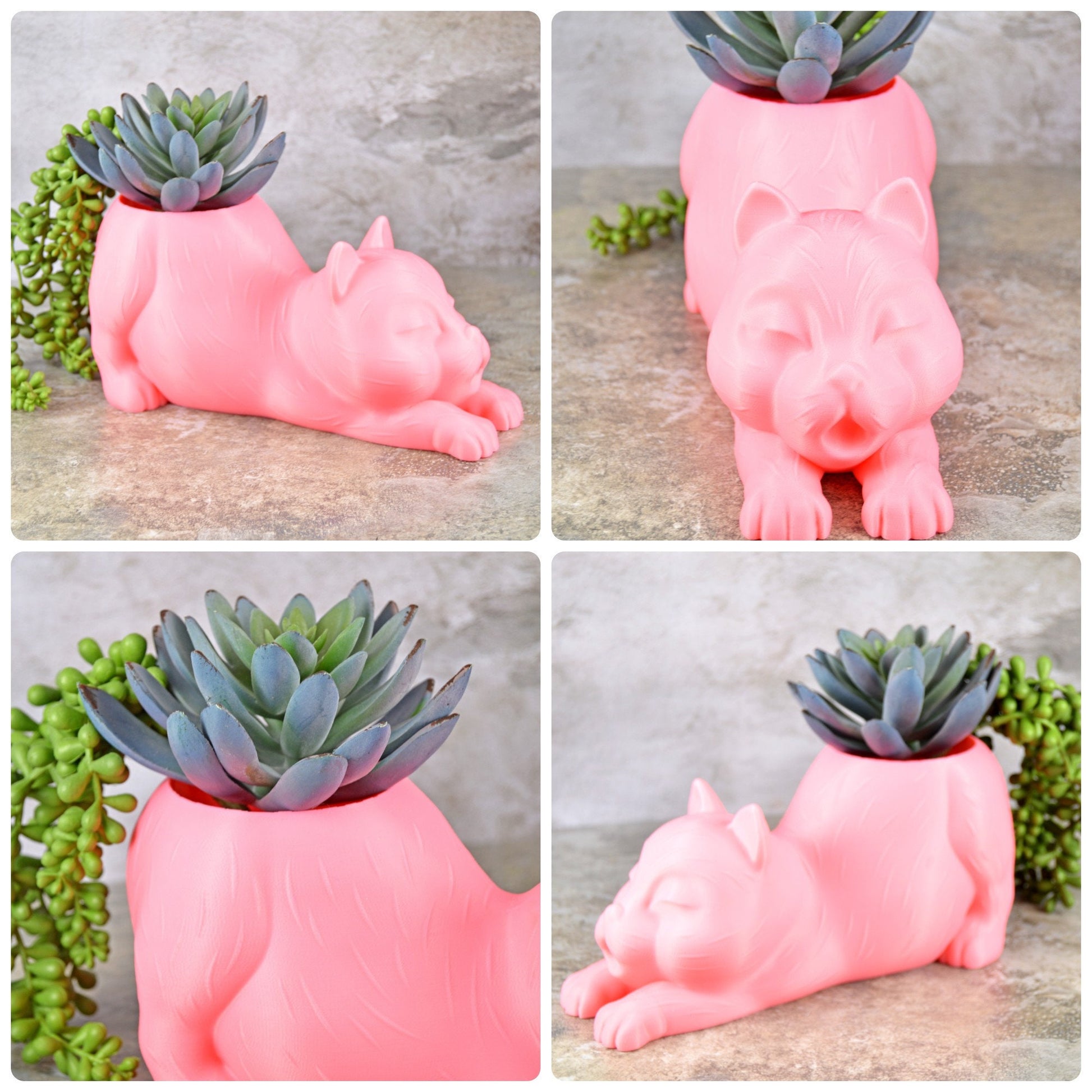 Cute Cat Planter Indoor, Cat Pot for Plants, Cat Succulent Planter, Cat Cactus Planter, Cat Air Plant Holder, Succulent Planter Funny