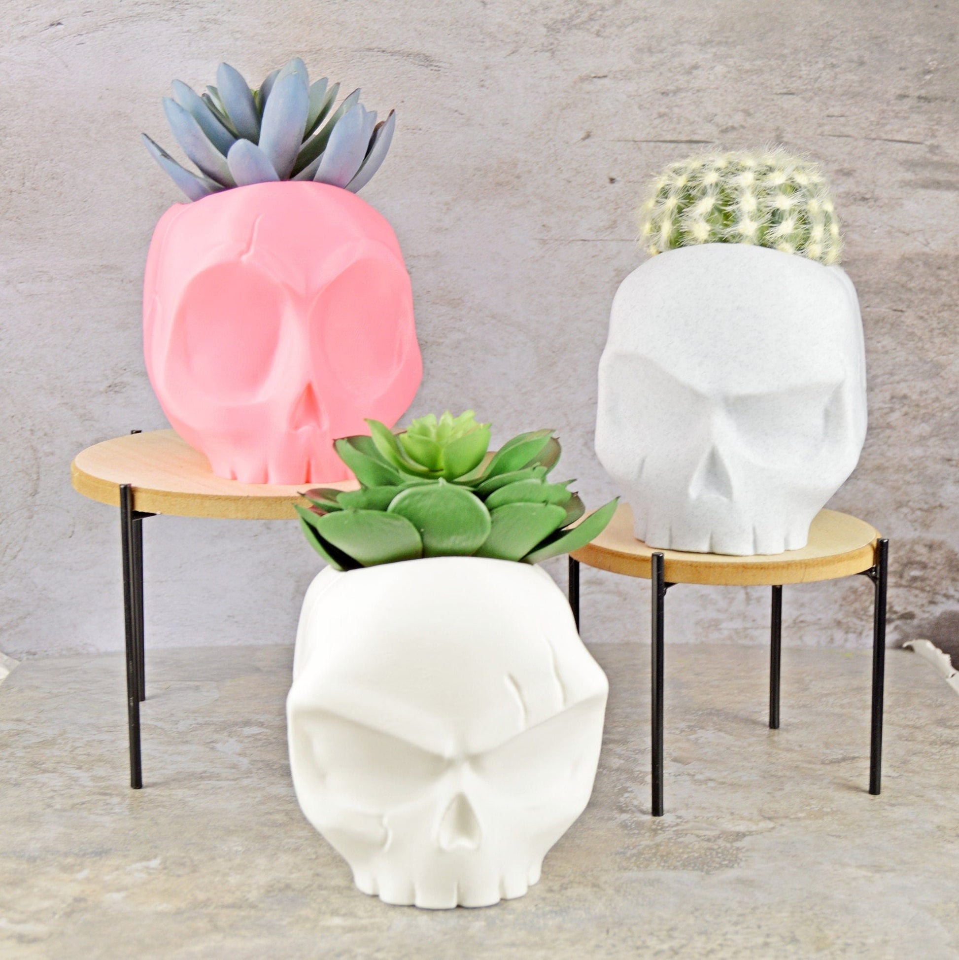 Skull Vases, Cute Skull Planter Pot, Angry Skull, Halloween Planter, Air Plant Holder, Succulent Planter Funny, Goth Planter Pot