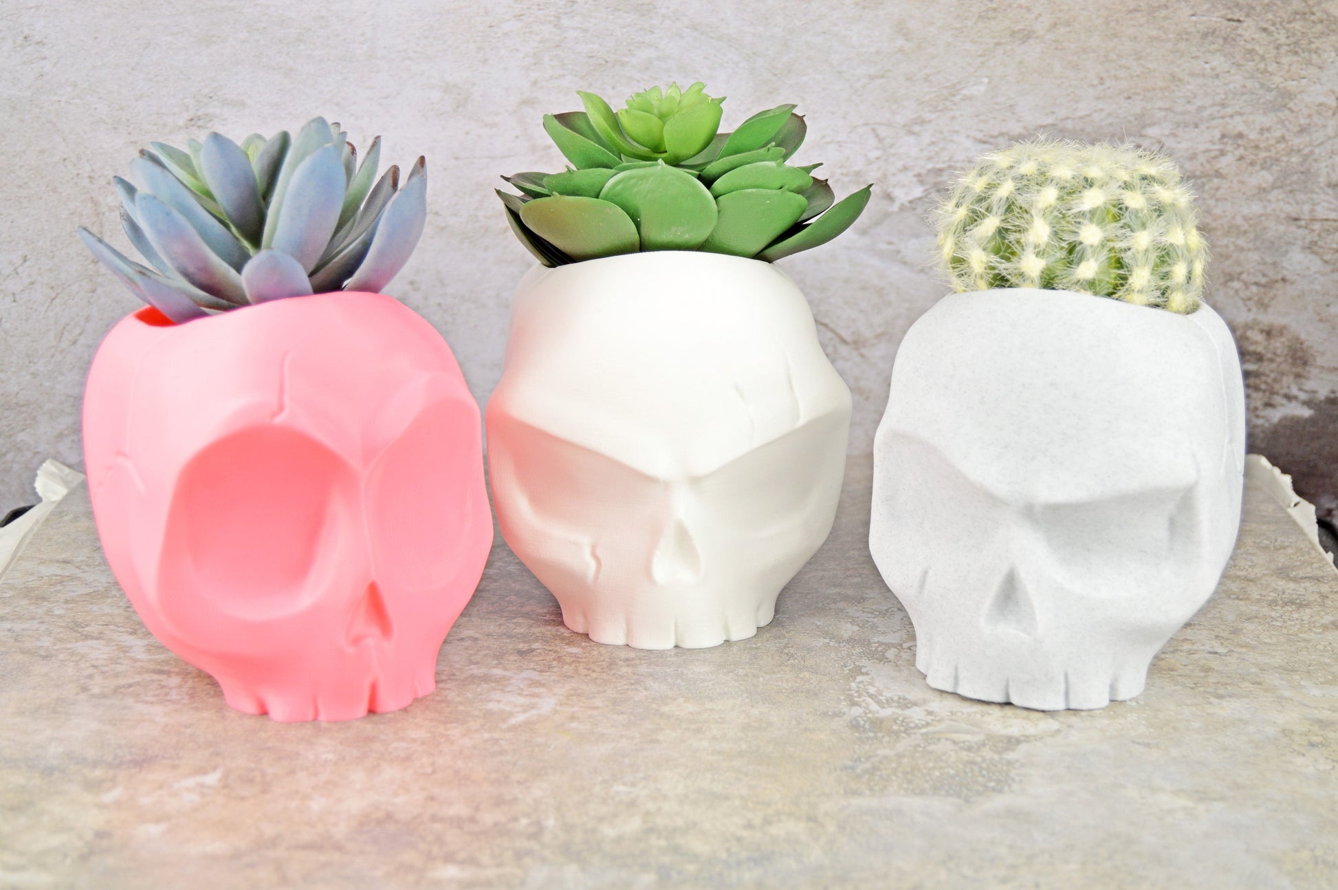 Skull Vases, Cute Skull Planter Pot, Angry Skull, Halloween Planter, Air Plant Holder, Succulent Planter Funny, Goth Planter Pot