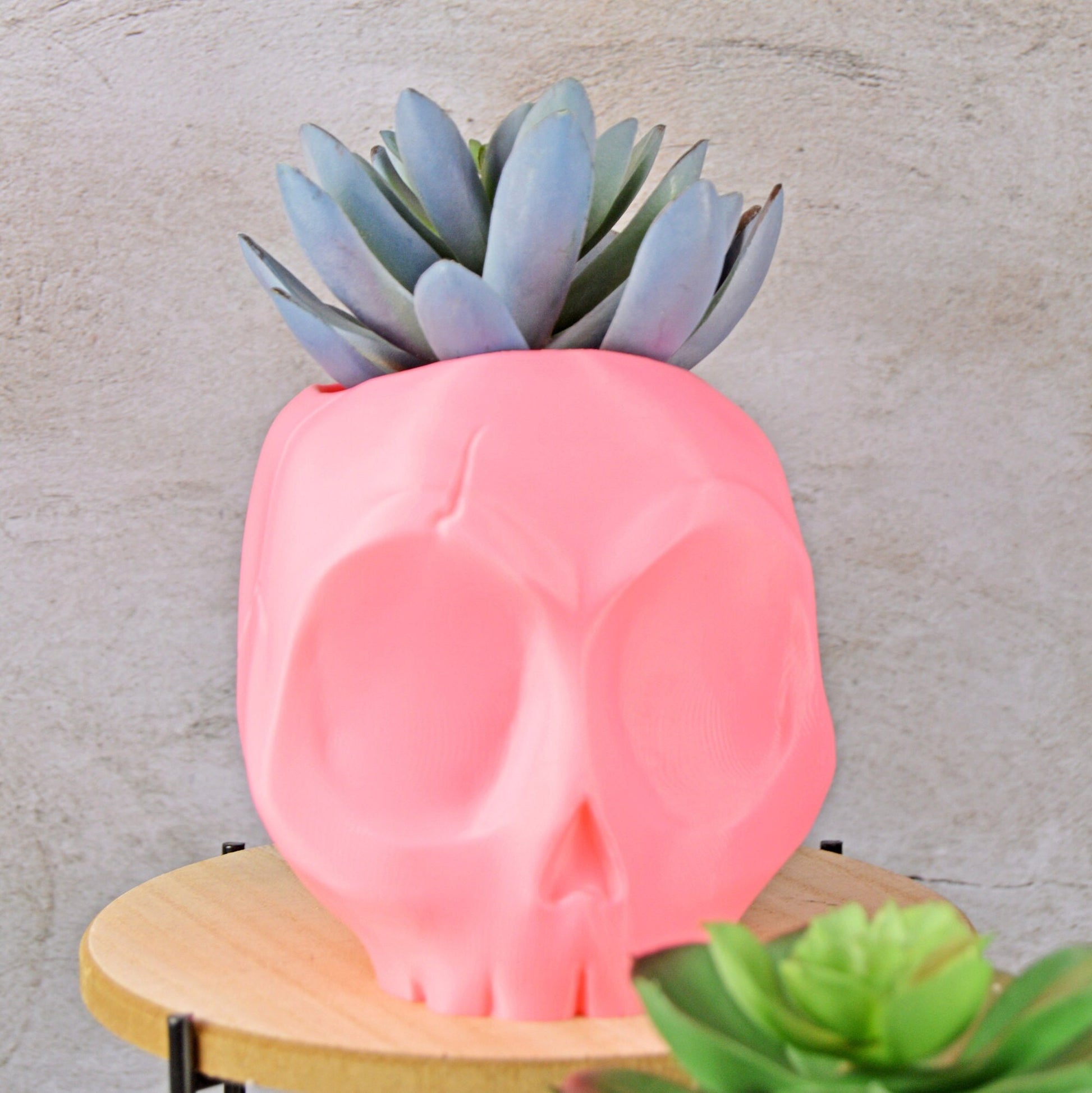 Skull Vases, Cute Skull Planter Pot, Angry Skull, Halloween Planter, Air Plant Holder, Succulent Planter Funny, Goth Planter Pot