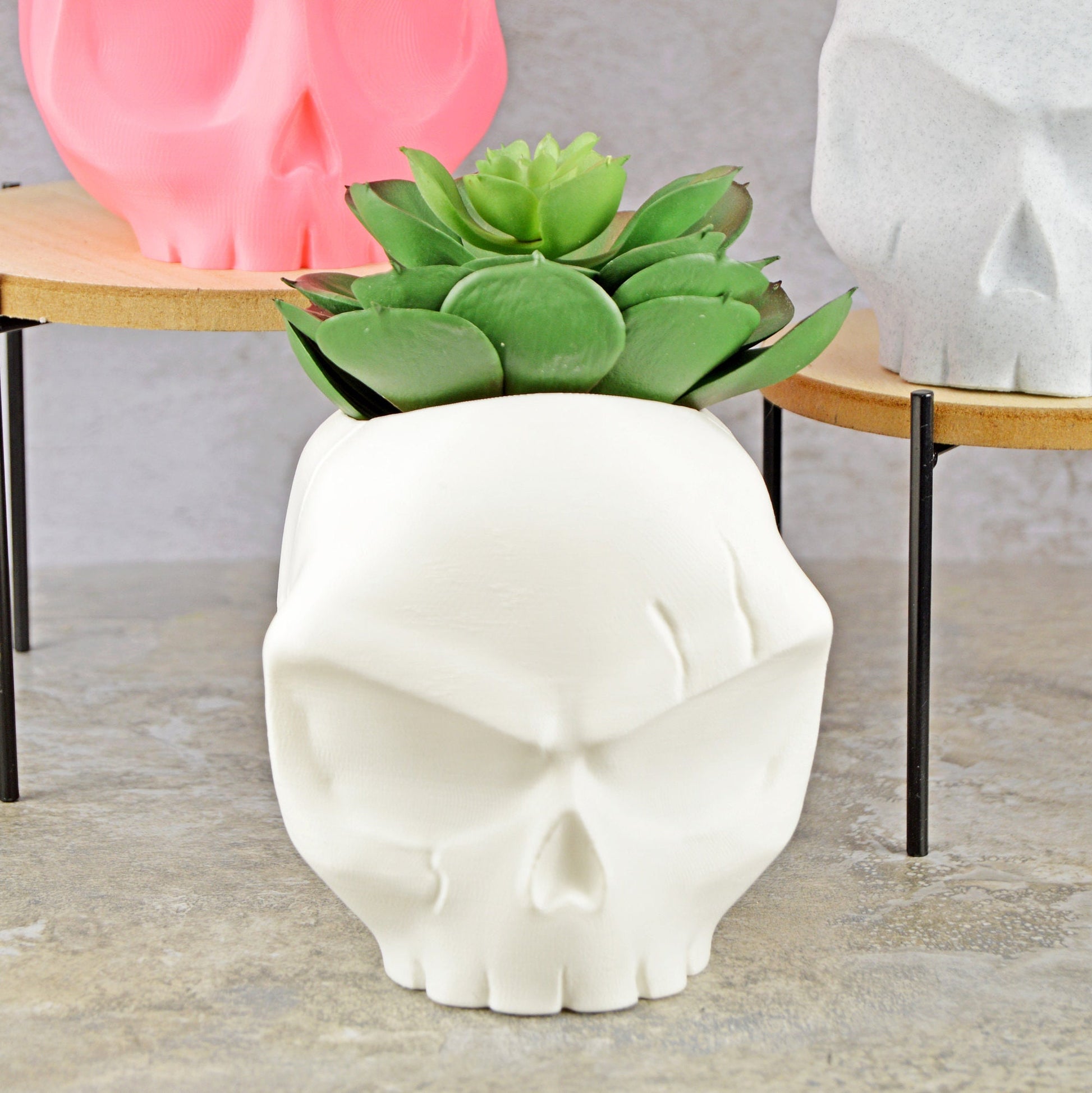 Skull Vases, Cute Skull Planter Pot, Angry Skull, Halloween Planter, Air Plant Holder, Succulent Planter Funny, Goth Planter Pot