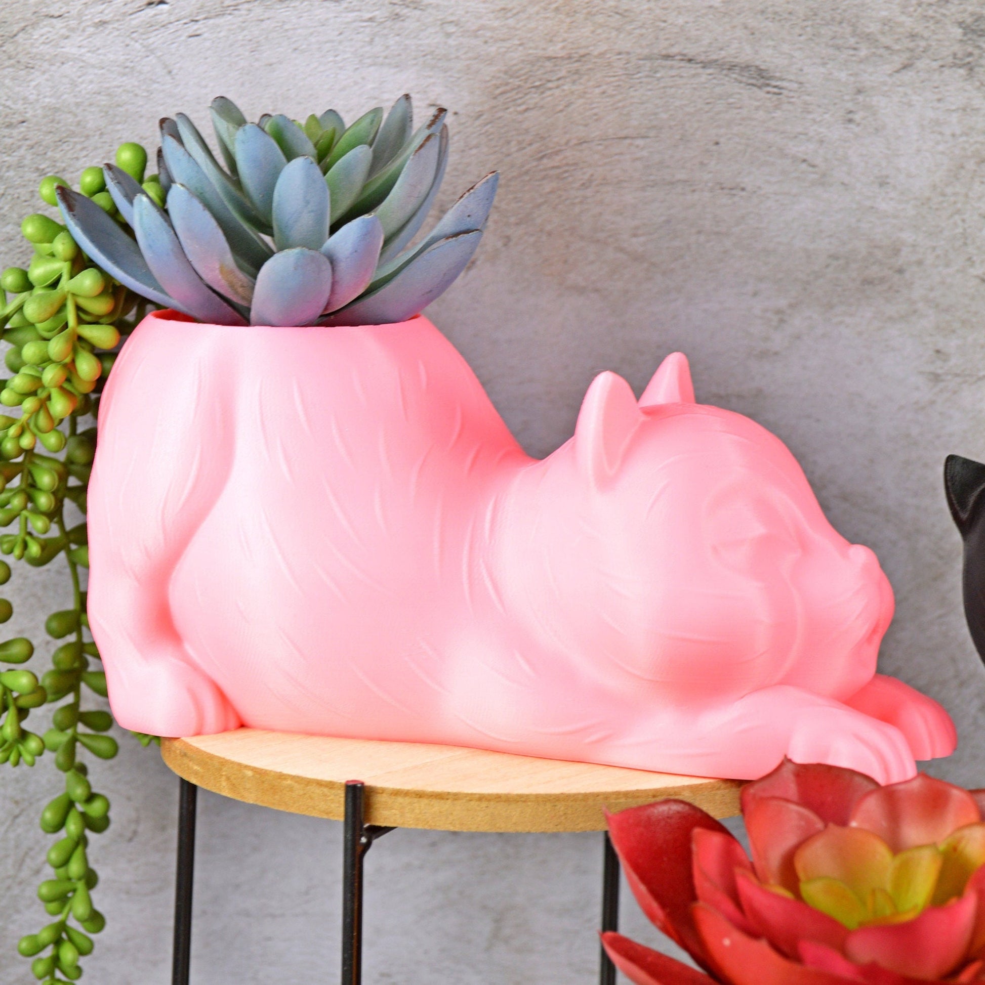 Cute Cat Planter Indoor, Cat Pot for Plants, Cat Succulent Planter, Cat Cactus Planter, Cat Air Plant Holder, Succulent Planter Funny